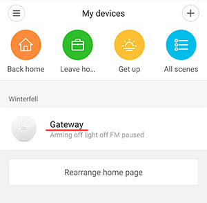 Xiaomi Gateway успешно добавлен в систему